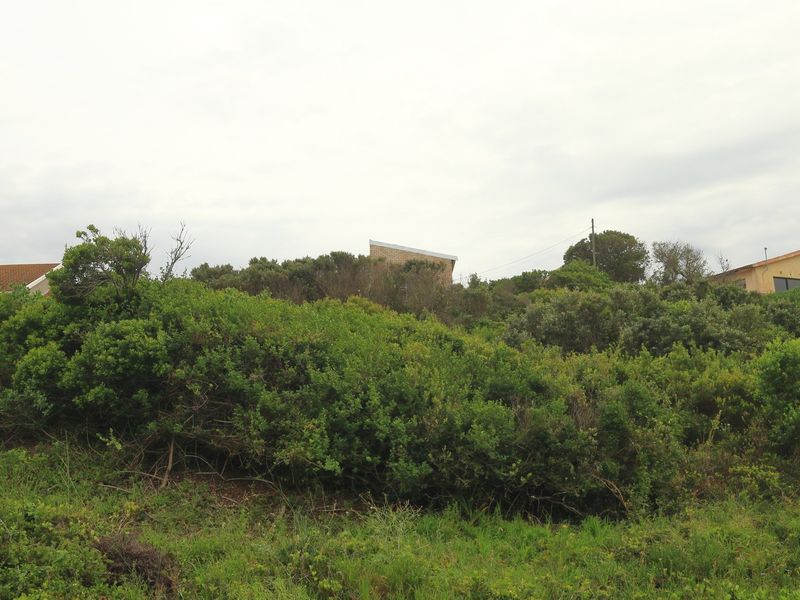 A view of a vacant residential plot featuring dense native vegetation and shrubbery with neighboring properties visible in the background.
