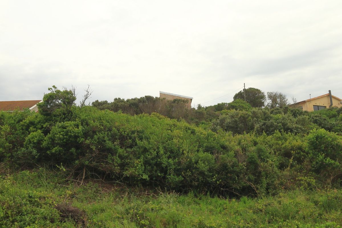 A view of a vacant residential plot featuring dense native vegetation and shrubbery with neighboring properties visible in the background.