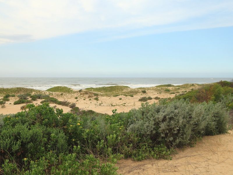 A scenic view of coastal sand dunes and native vegetation overlooking the ocean, highlighting the natural landscape of the vacant residential land.