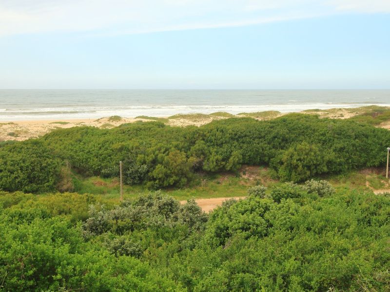 A scenic view of the coastline featuring natural sand dunes and lush coastal vegetation overlooking the ocean.