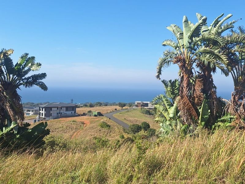 Elevated view overlooking a coastal residential estate with expansive ocean horizons and natural landscape.