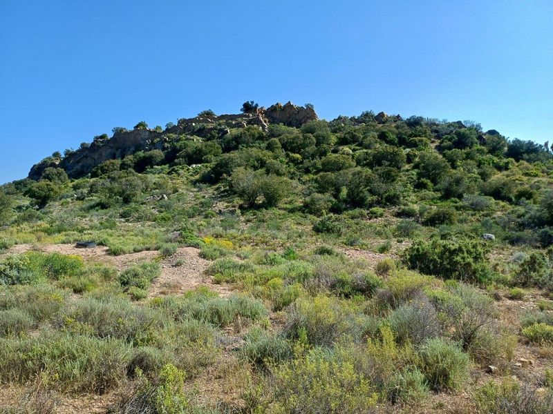 A scenic view of the natural landscape featuring a rocky hillside covered in native vegetation and shrubs.