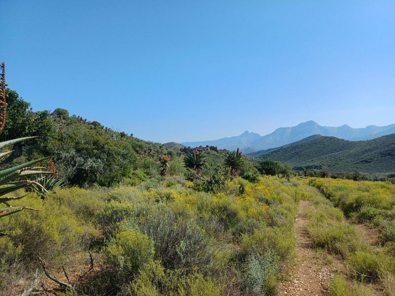 A scenic view of the expansive farm landscape featuring native vegetation, rolling hills, and distant mountain ranges under a clear blue sky.