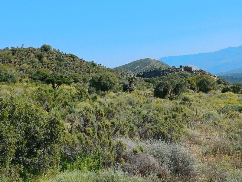 A scenic view of the natural farm landscape featuring rolling hills, indigenous vegetation, and distant mountain ranges under a clear blue sky.