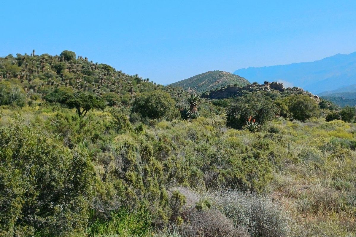 A scenic view of the natural farm landscape featuring rolling hills, indigenous vegetation, and distant mountain ranges under a clear blue sky.