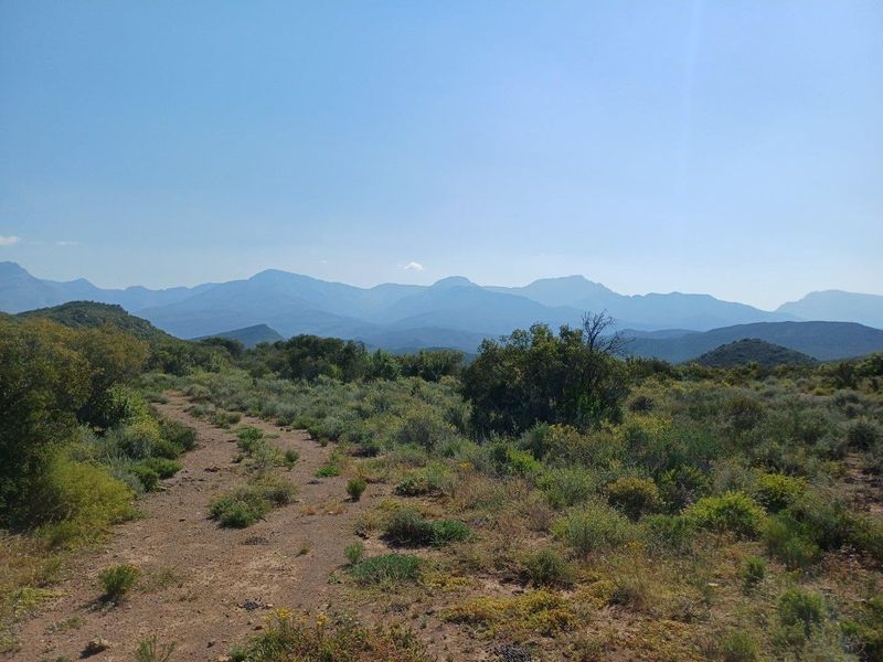 A scenic landscape view showcasing the natural terrain and mountain range surrounding the farm property.