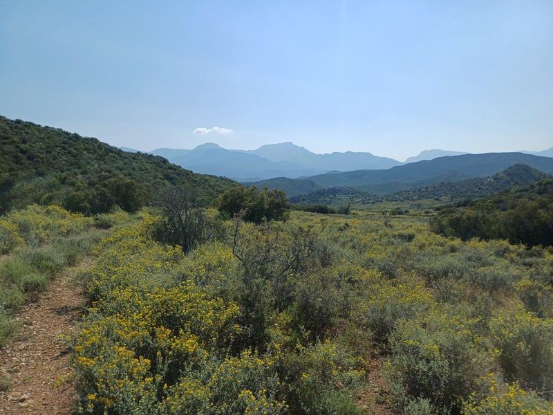 A scenic view of the expansive farm landscape featuring rolling hills and distant mountain ranges under a clear sky.
