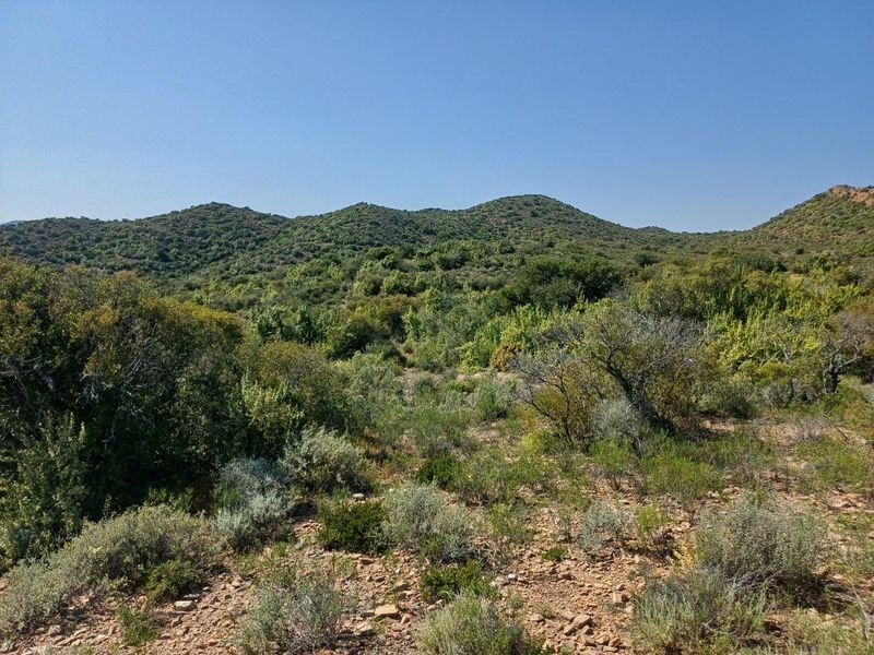A scenic view of the natural landscape featuring rolling hills covered in native vegetation and shrubs on the farm property.