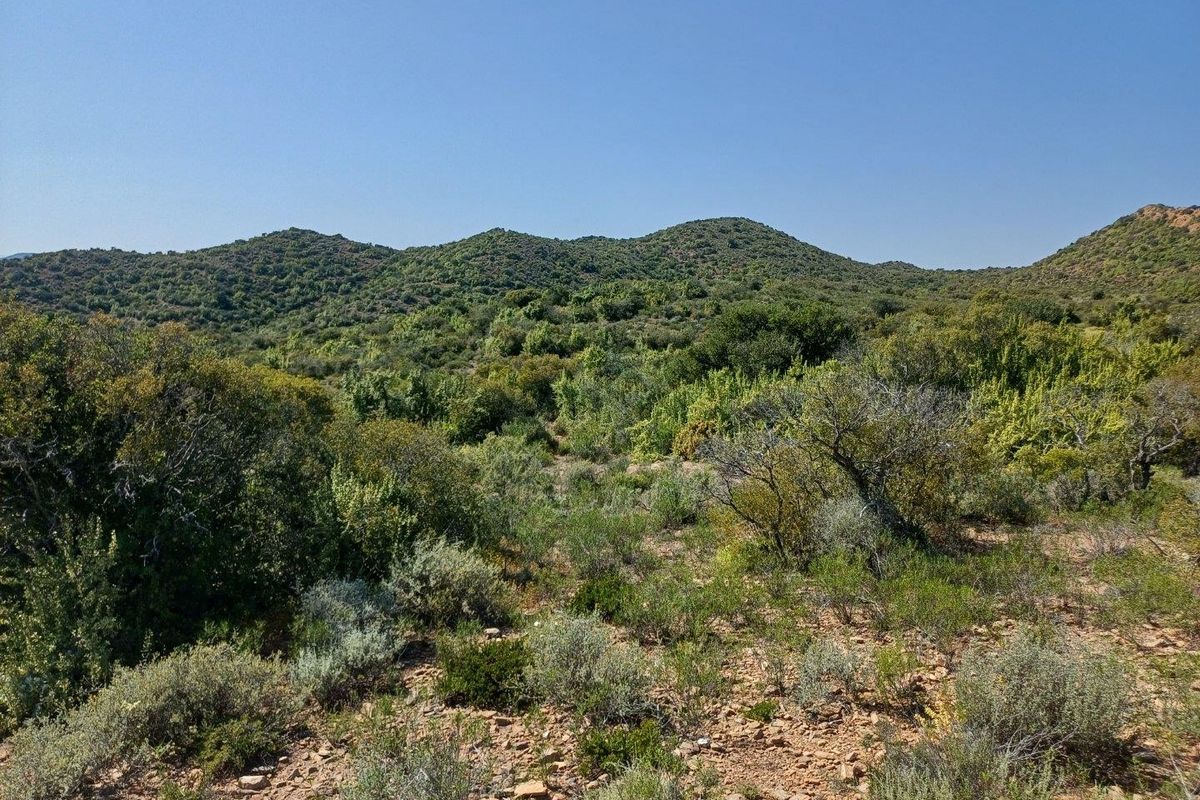 A scenic view of the natural landscape featuring rolling hills covered in native vegetation and shrubs on the farm property.