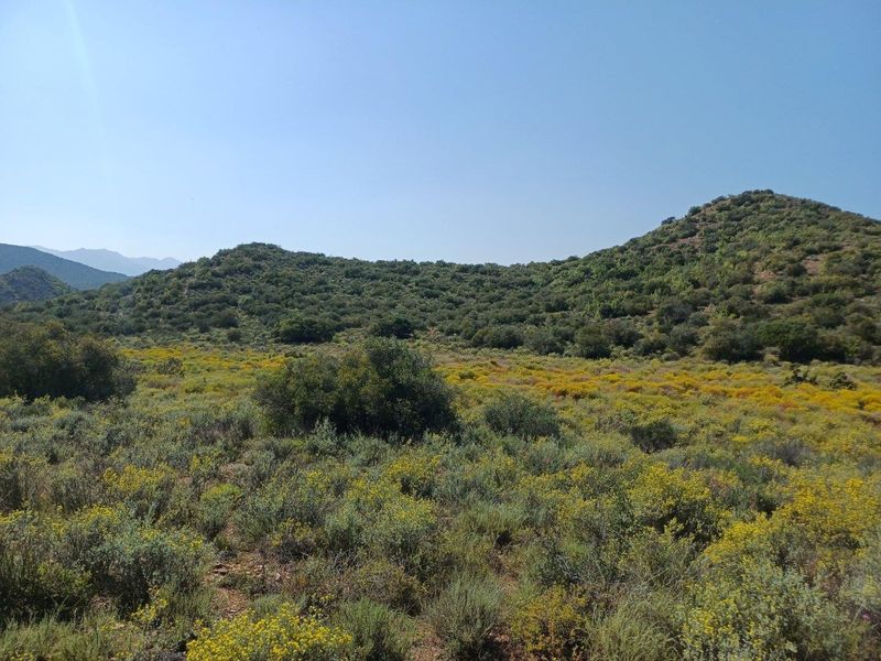 A scenic view of the natural landscape featuring rolling hills and native vegetation on the farm property.