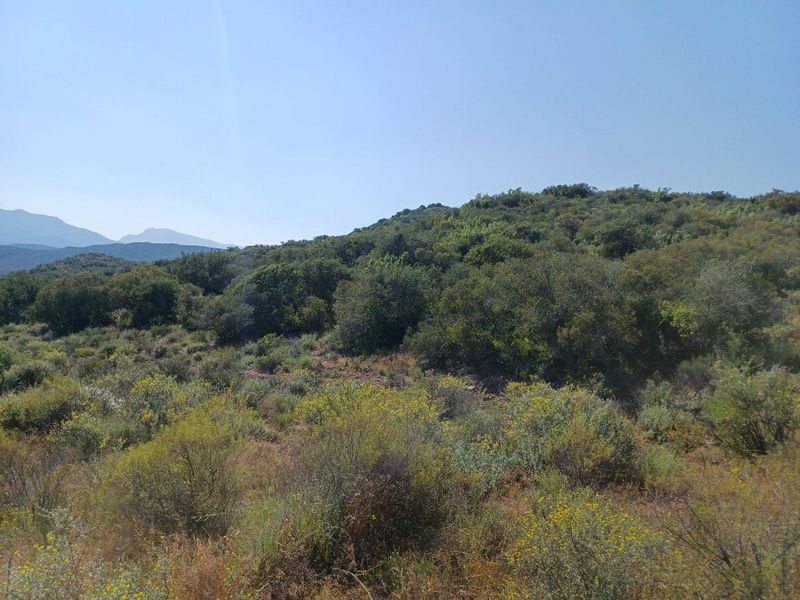 A scenic view of the natural landscape featuring rolling hills, native vegetation, and distant mountain ranges on the farm property.