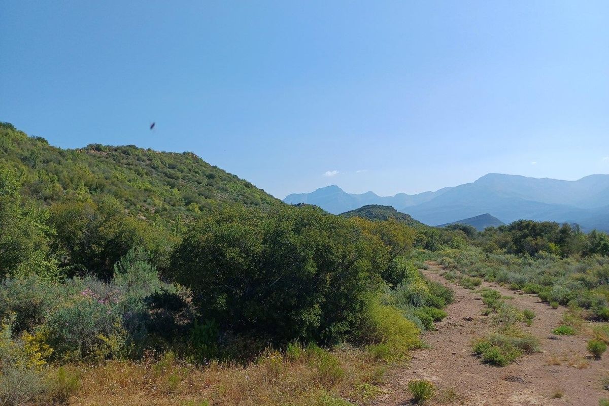 A scenic view of the natural landscape featuring rolling hills, native vegetation, and distant mountain ranges with a dirt access track.