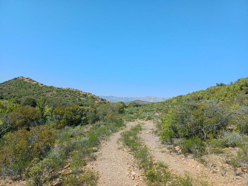 A scenic view of the expansive farm landscape featuring a dirt track winding through natural vegetation and rolling hills.