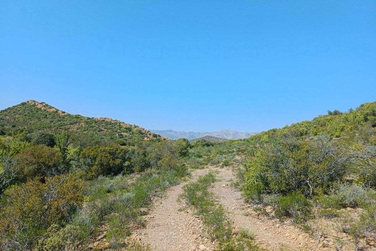 A scenic view of the expansive farm landscape featuring a dirt track winding through natural vegetation and rolling hills.