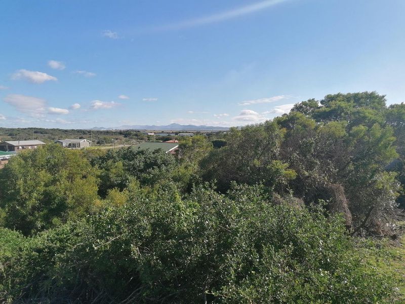 A scenic view overlooking natural vegetation with a distant mountain range on the horizon, showcasing the surrounding landscape.