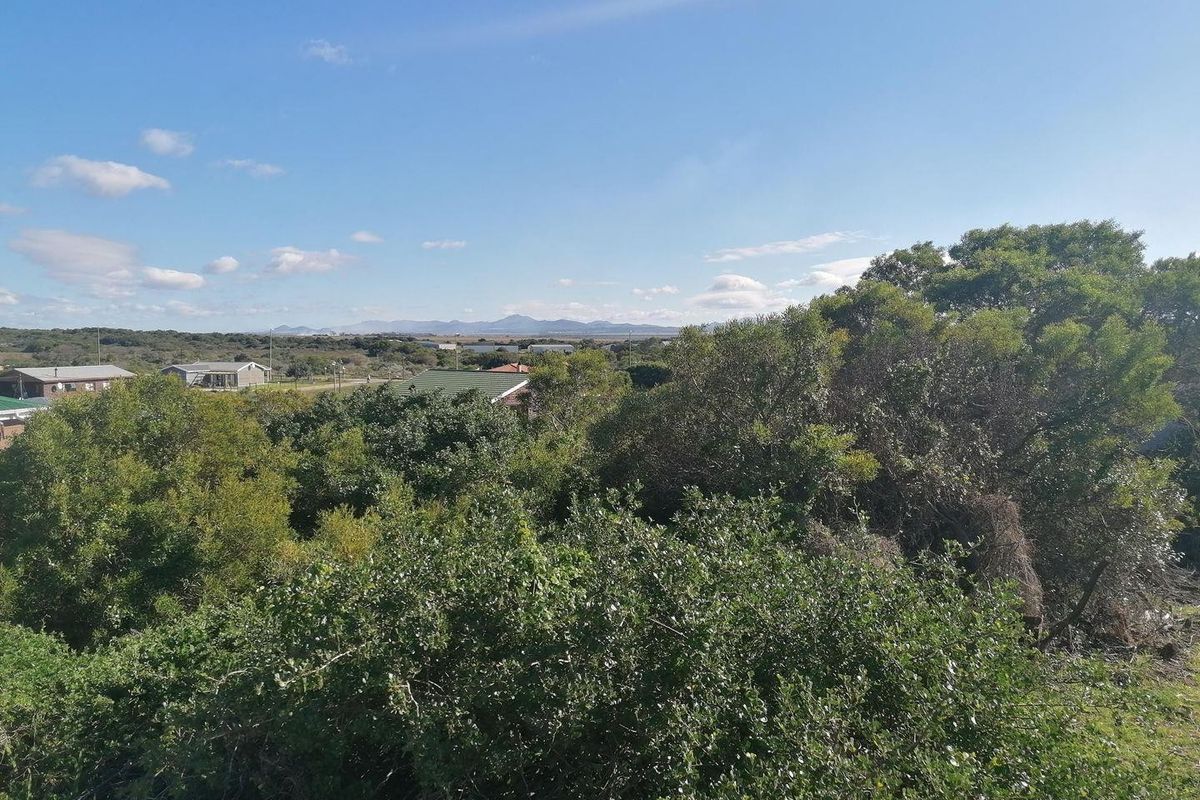 A scenic view overlooking natural vegetation with a distant mountain range on the horizon, showcasing the surrounding landscape.