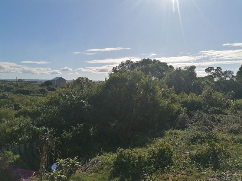 A view of the surrounding landscape and natural vegetation on the vacant residential property.