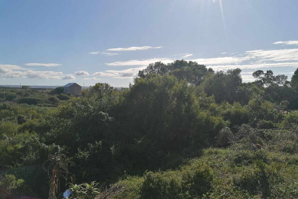 A view of the surrounding landscape and natural vegetation on the vacant residential property.