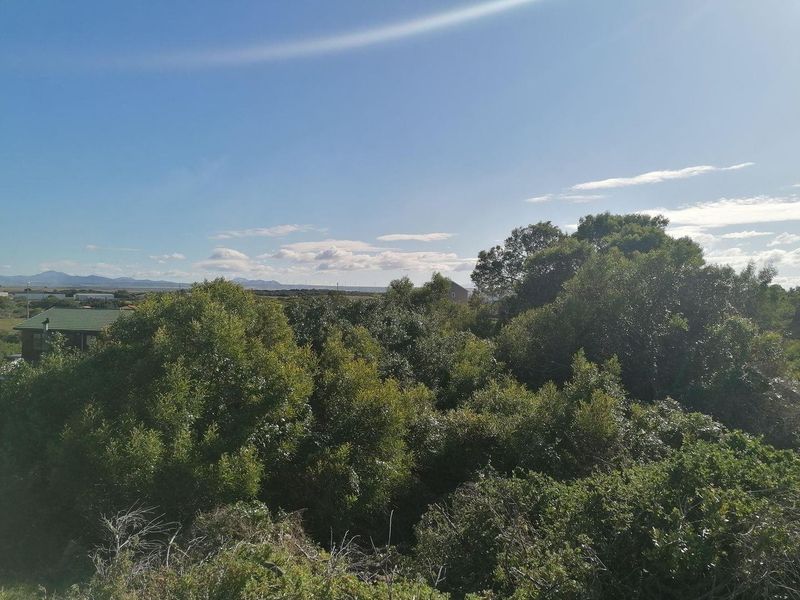 A scenic view overlooking established trees and surrounding landscape, showcasing the natural greenery and open horizon of the residential land.