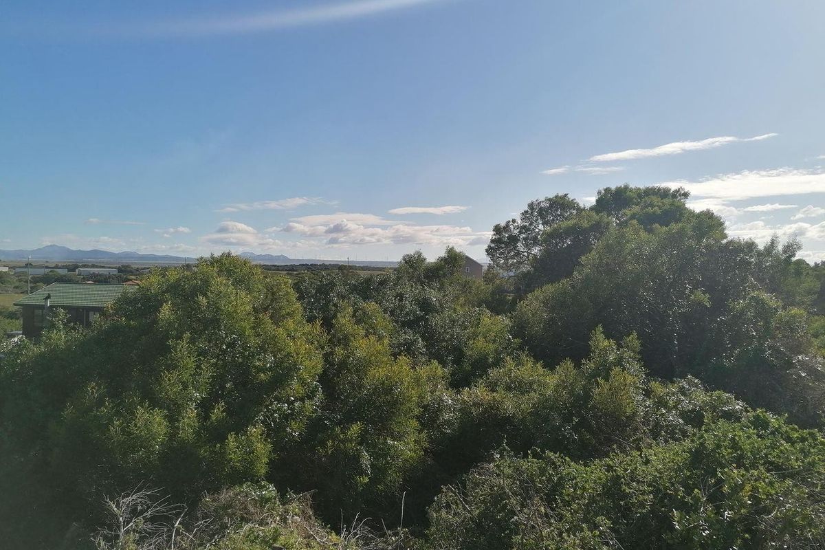 A scenic view overlooking established trees and surrounding landscape, showcasing the natural greenery and open horizon of the residential land.