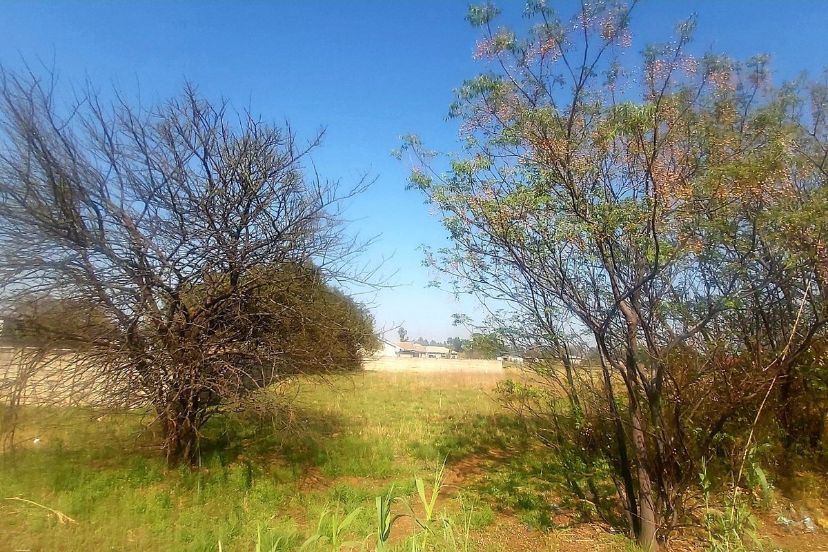 A view of a vacant residential plot featuring established trees and a perimeter boundary wall.