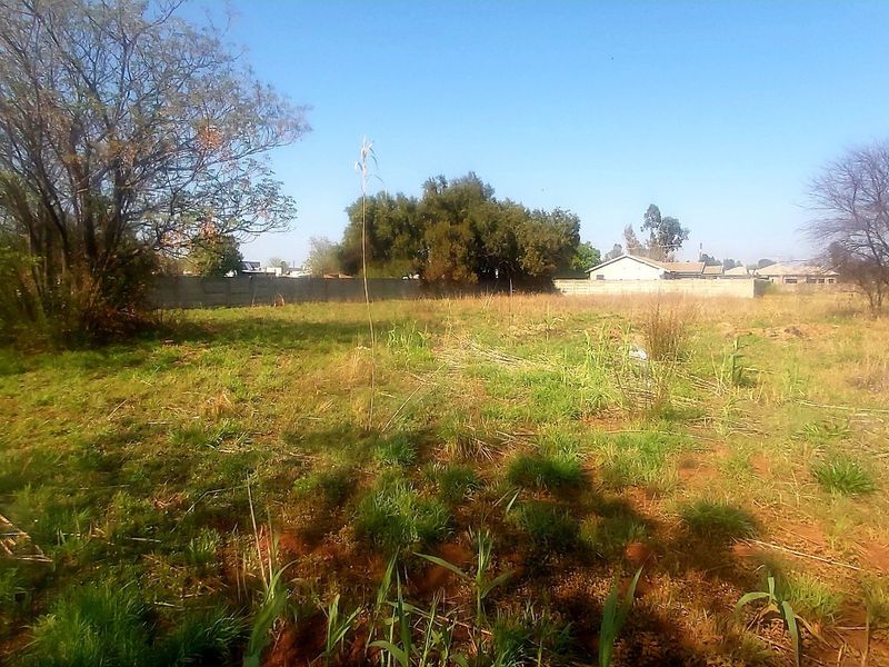 A vacant residential plot featuring natural vegetation, mature trees, and a perimeter boundary wall.