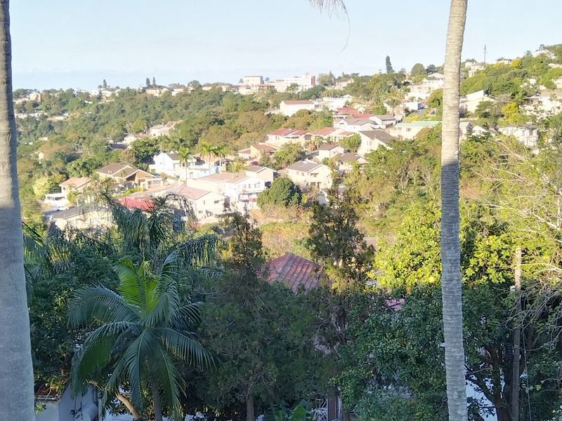 An elevated view overlooking a residential neighbourhood with lush greenery and mature trees.