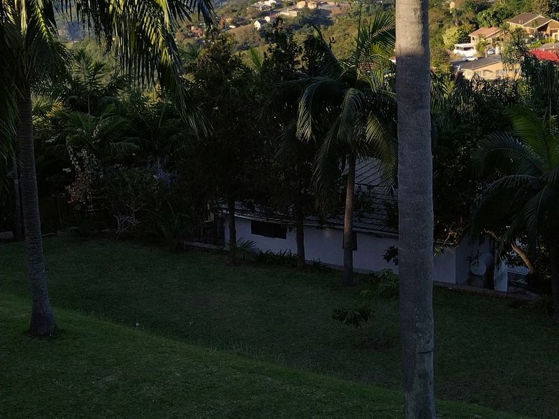 A scenic elevated view overlooking a lush garden with mature palm trees and a distant suburban landscape.