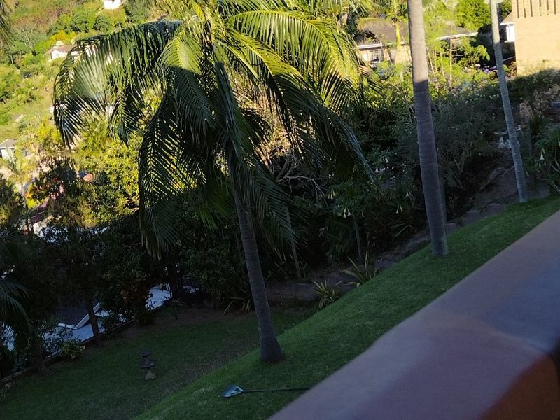 A scenic elevated view overlooking a lush green garden with mature palm trees and surrounding residential hillside landscape.