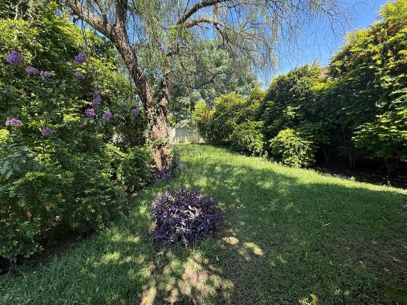 A lush, established garden area featuring mature trees, dense shrubbery, and a well-maintained lawn.