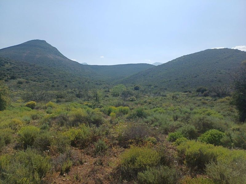 A scenic view of the expansive natural landscape featuring rolling hills and native vegetation on the farm property.