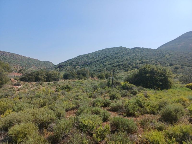 A scenic view of the natural landscape and surrounding mountain range on the farm property.