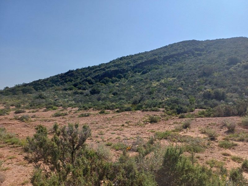 A scenic view of the natural landscape featuring rolling hills and native vegetation on the farm property.