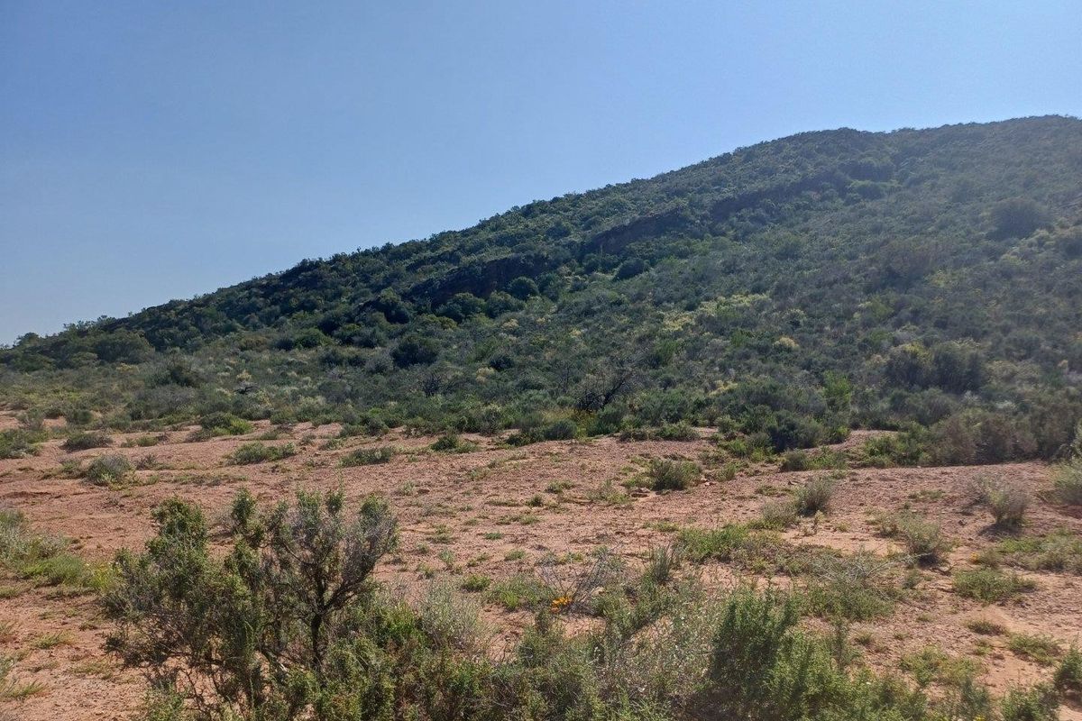 A scenic view of the natural landscape featuring rolling hills and native vegetation on the farm property.