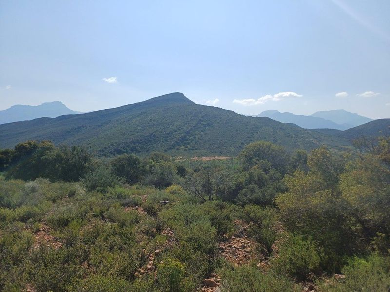 A scenic landscape view showcasing the natural mountainous terrain and indigenous vegetation surrounding the farm property.