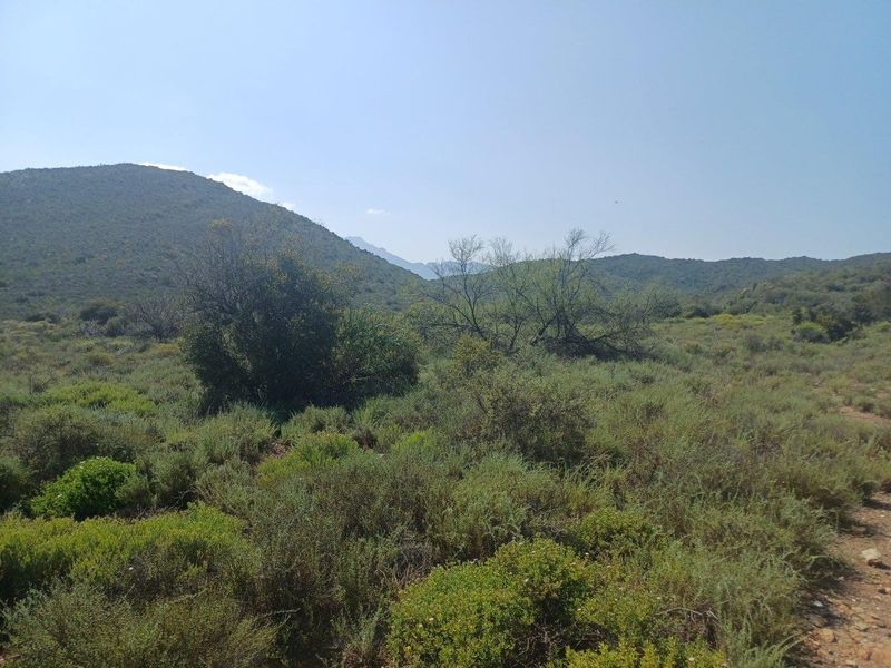 A scenic view of the natural landscape featuring rolling hills and native vegetation on the farm property.