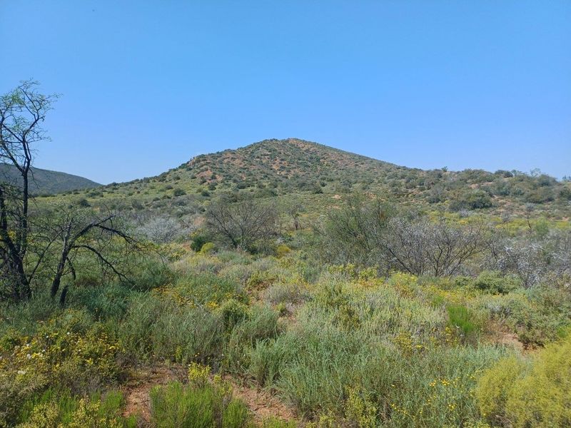 A scenic view of the natural landscape featuring rolling hills and native vegetation on the farm property.