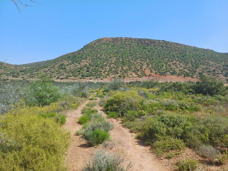 A scenic view of the natural farm landscape featuring a dirt track leading towards a prominent hill.