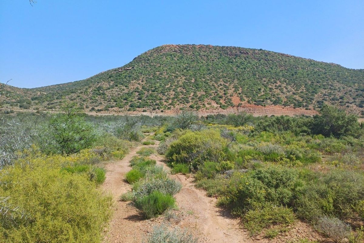 A scenic view of the natural farm landscape featuring a dirt track leading towards a prominent hill.
