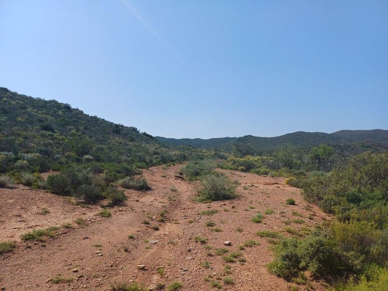 A wide-angle view of the natural landscape featuring a dirt track winding through the hilly, undeveloped terrain.