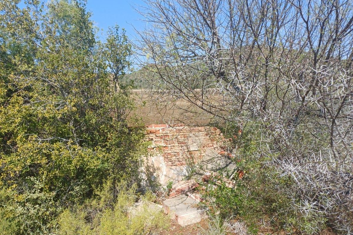 A view of a dilapidated brick structure partially obscured by overgrown vegetation and thorny shrubs on the farm property.