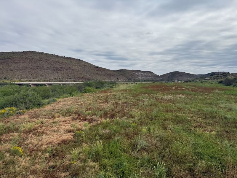 A scenic landscape view featuring rolling hills, natural vegetation, and a distant bridge structure.