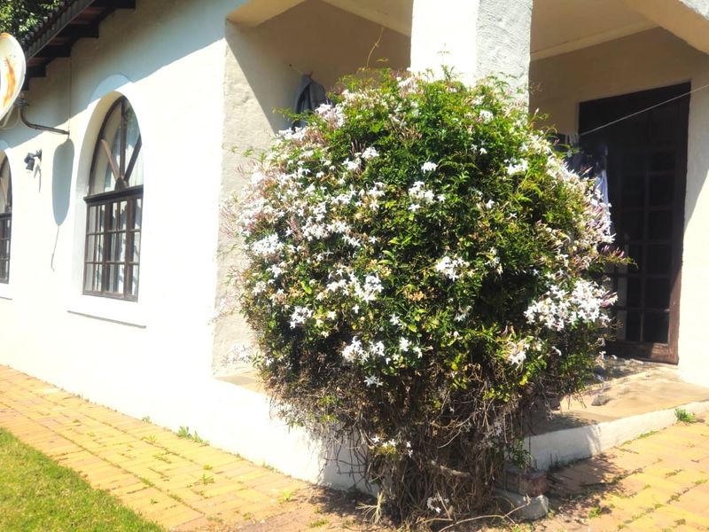 Rear exterior view of the cottage featuring a covered patio, brick paving, and arched windows with a large flowering shrub.