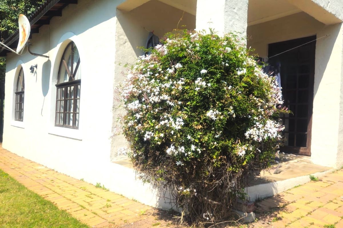Rear exterior view of the cottage featuring a covered patio, brick paving, and arched windows with a large flowering shrub.