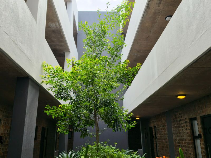 A modern apartment complex courtyard featuring exposed concrete ceilings, brickwork walls, and a central landscaped garden area.