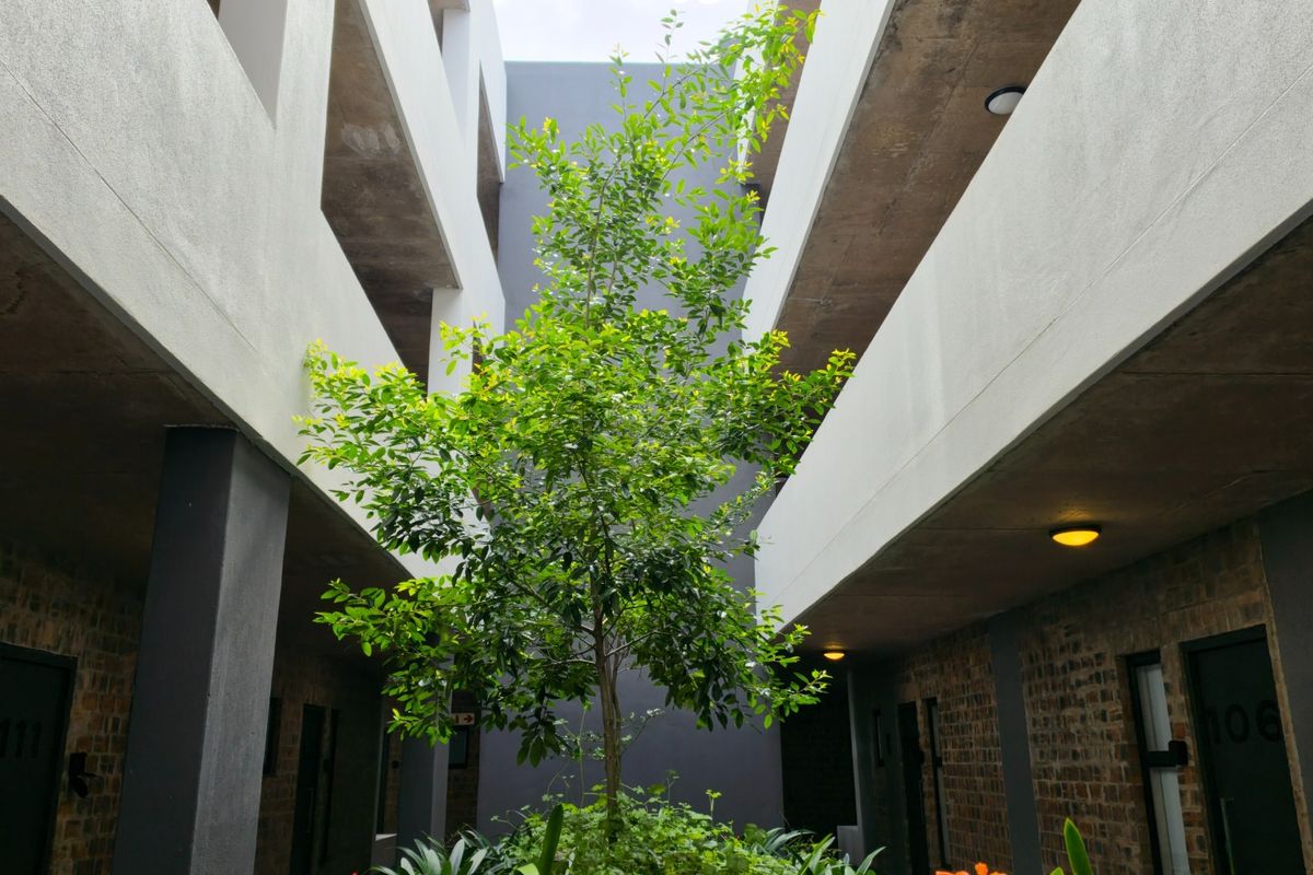 A modern apartment complex courtyard featuring exposed concrete ceilings, brickwork walls, and a central landscaped garden area.