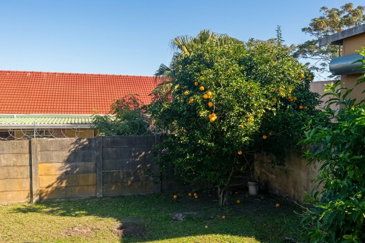 A rear garden area featuring a mature citrus tree, enclosed by a precast concrete boundary wall topped with razor wire security fencing.
