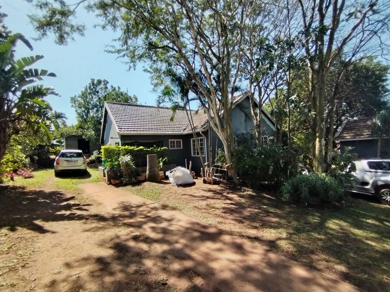 Front exterior view of a residential house featuring a tiled roof, established trees, and a driveway leading to the property entrance.