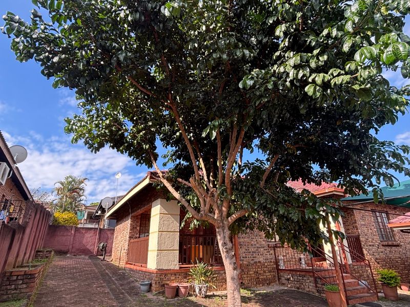 A front exterior view of a face brick house featuring a paved driveway, concrete pillars, and metal railings, shaded by a large mature tree.