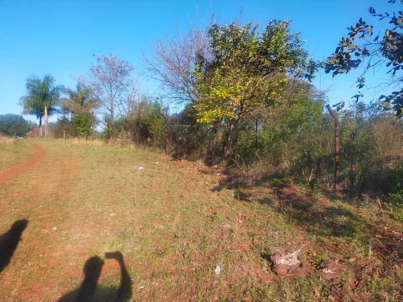 A view of a vacant residential plot featuring natural vegetation, mature trees, and perimeter wire fencing.
